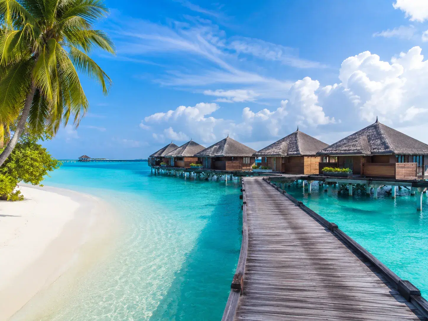 Best of Maldives