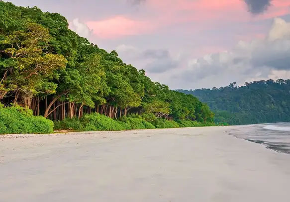 Bestselling Andaman Family Package