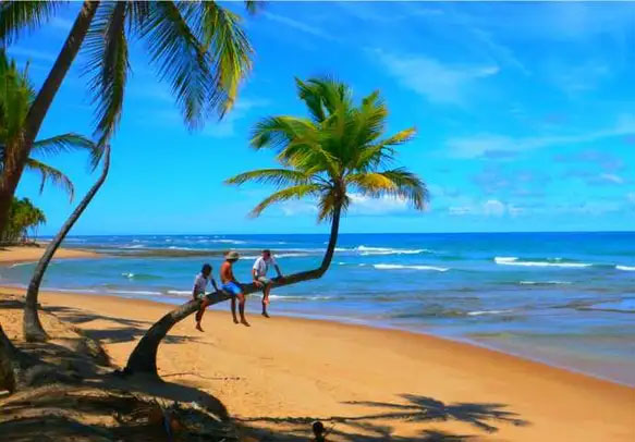 Most Reasonable 4 Nights 5 Days Goa Honeymoon Tour Packages