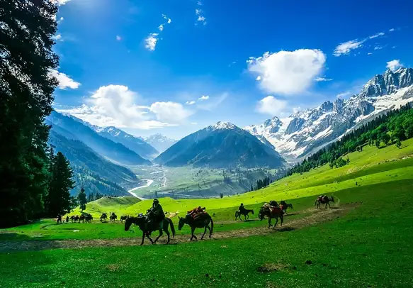 Heavenly Kashmir Honeymoon Package