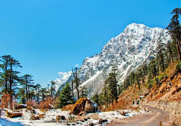 Gangtok, Lachung & Darjeeling Summer Special Tour: The North Eastern Bliss