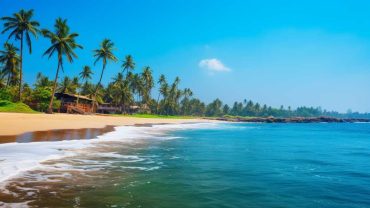 Discover Kerala’s Hidden Beach Gems